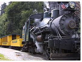 Train Party - steam engine