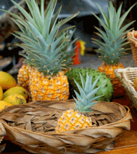 Tropical Luau Snacks and Refreshments